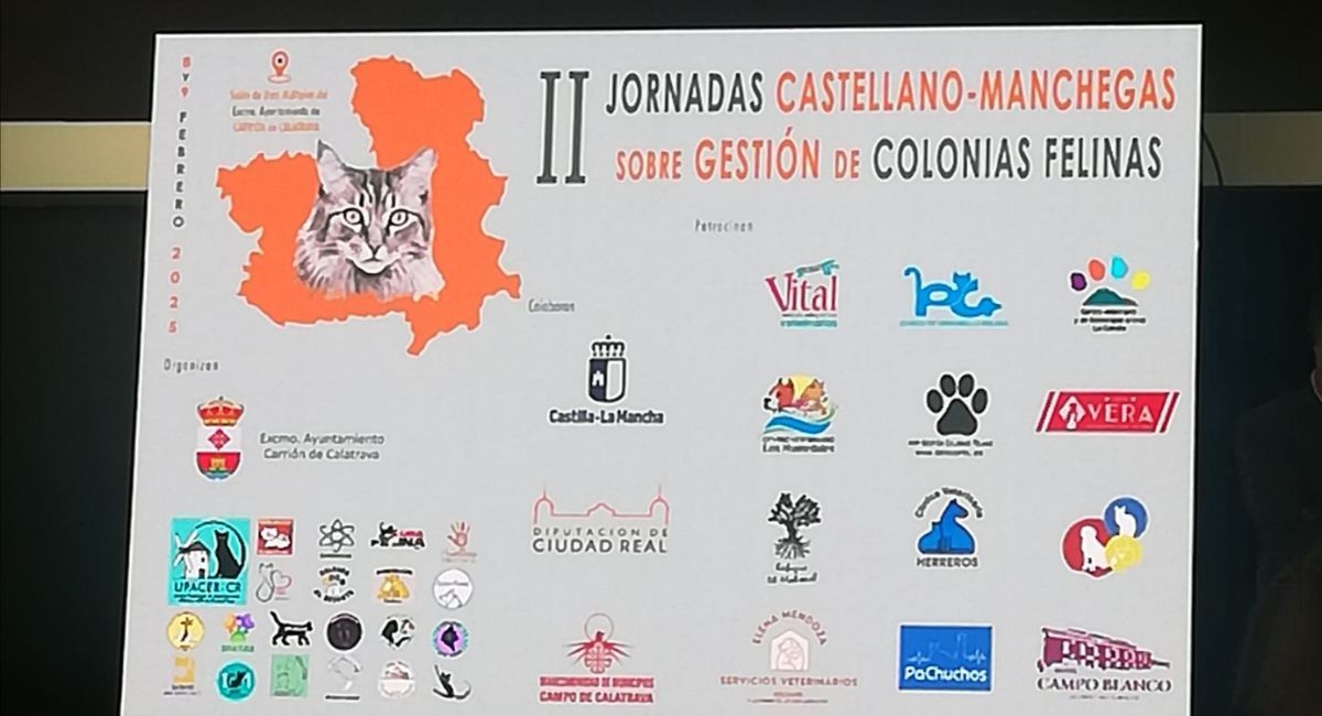 Almansa gestión colonias felinas