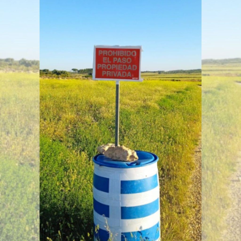 camino los pandos almansa