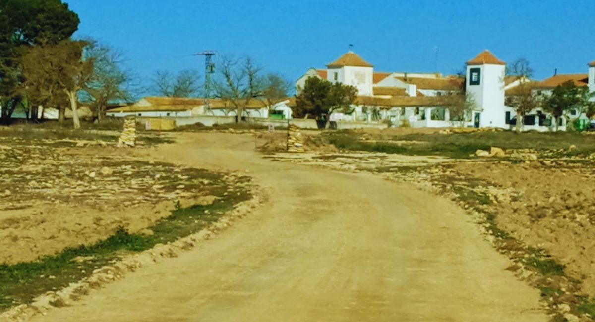 extranjero camino almansa