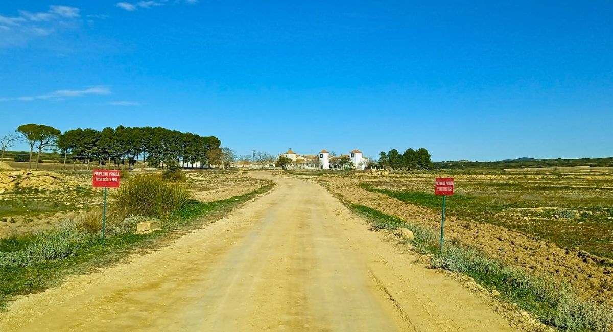 extranjero camino almansa