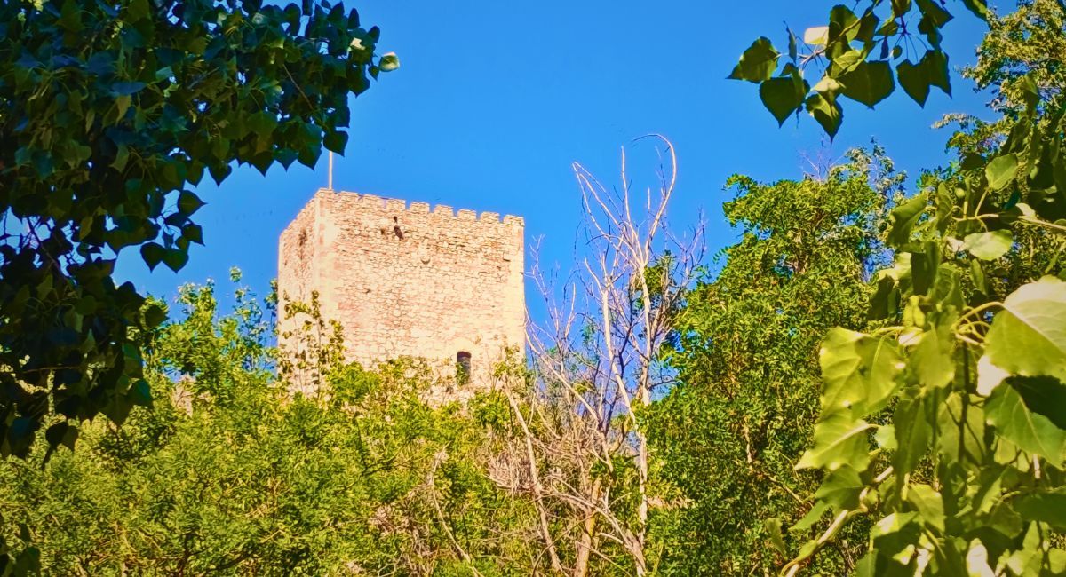 aemet temperaturas almansa altas