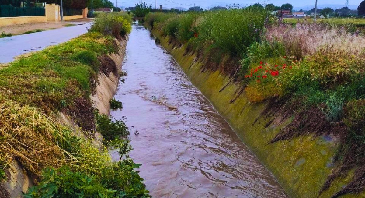 podemos almansa aguas zanjón