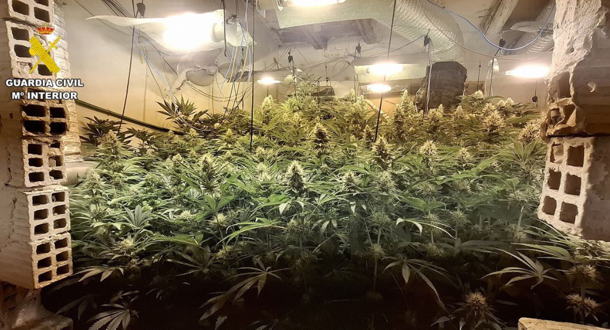 marihuana guardia civil Albacete