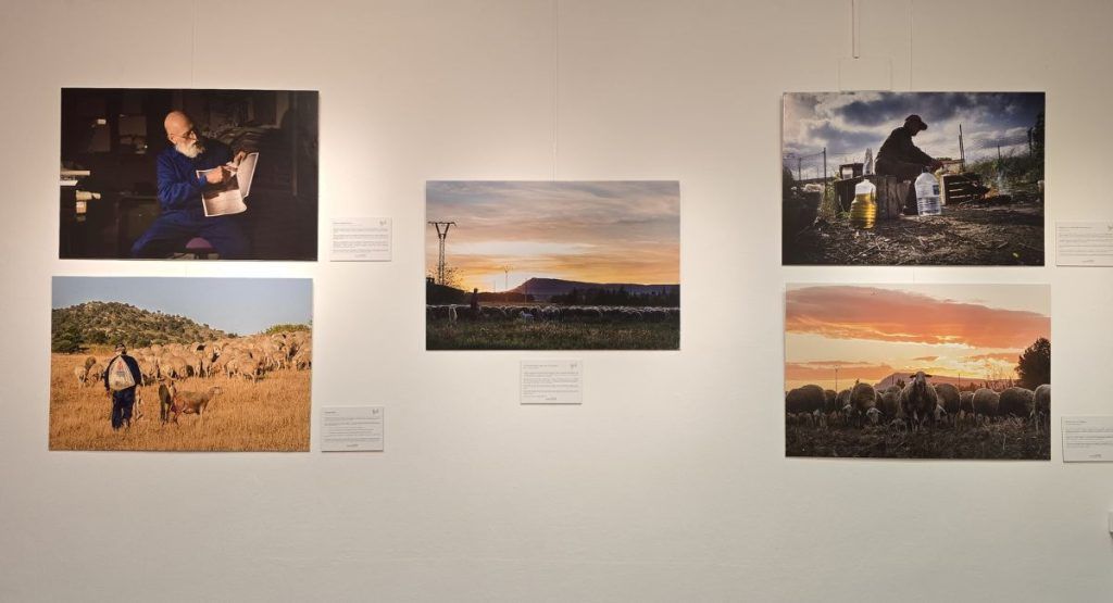 exposición arte almansa fotografía casa cultura