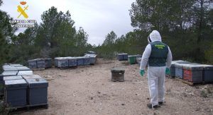 guardia civil robo colmenas