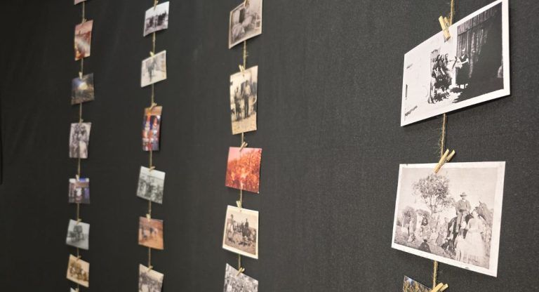 exposición casa cultura Almansa