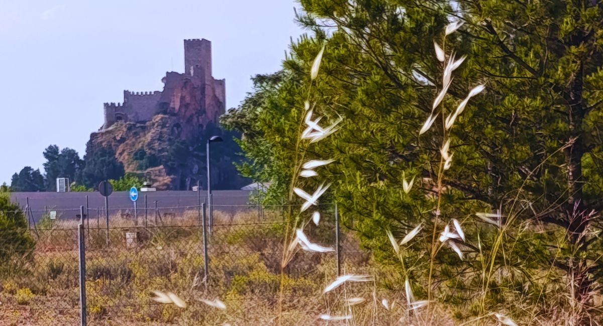 sol extremo tiempo almansa