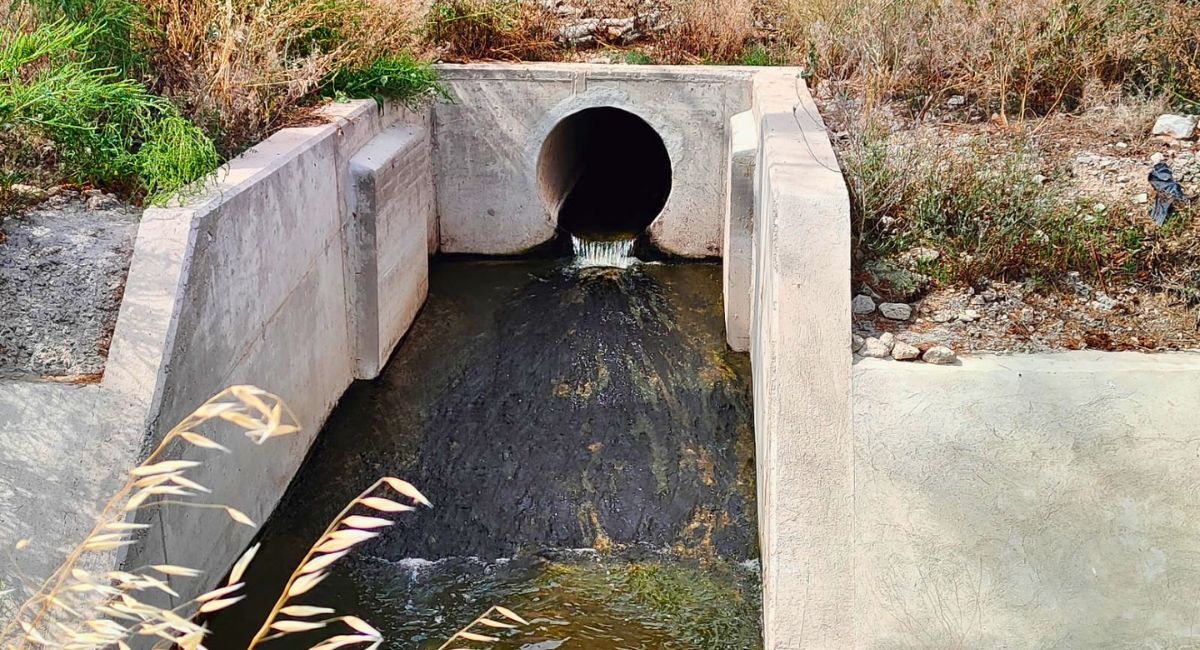 zanjón almansa crecida agua