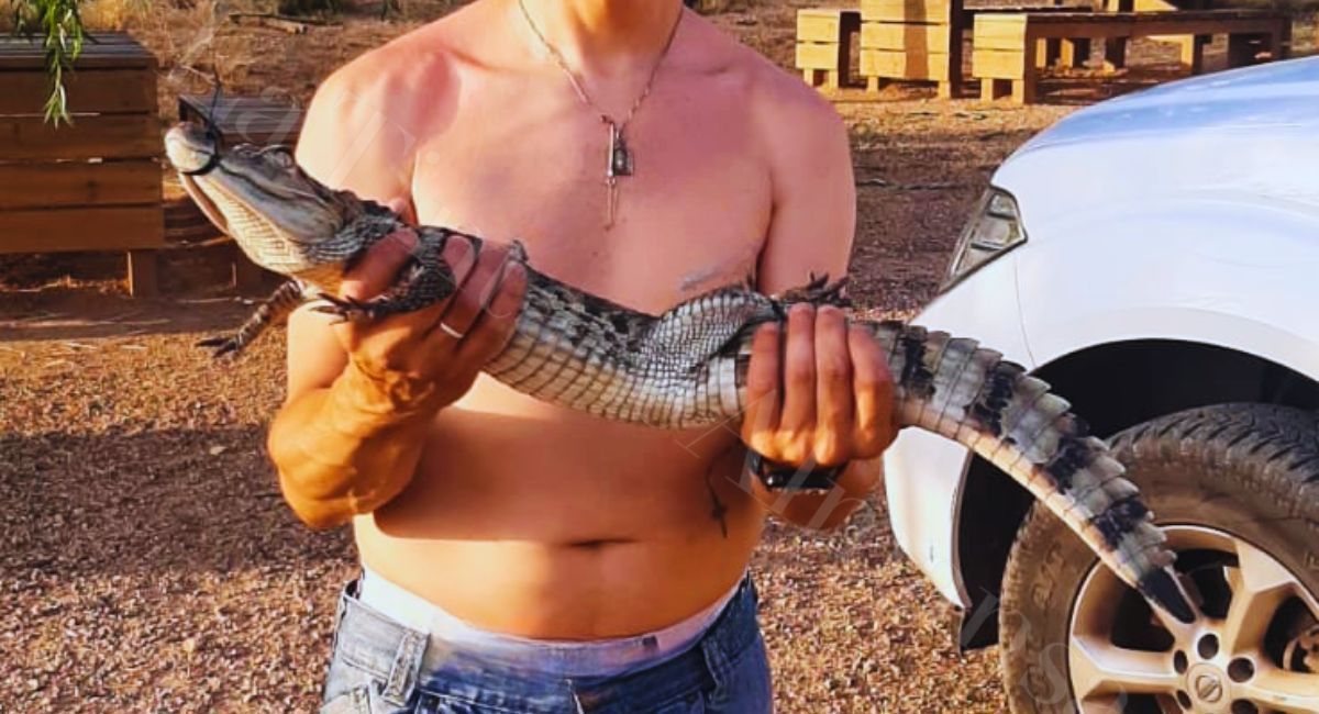 caiman pantano almansa