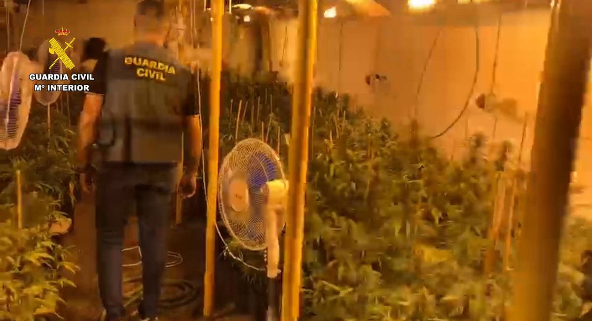 guardia civil almansa marihuana