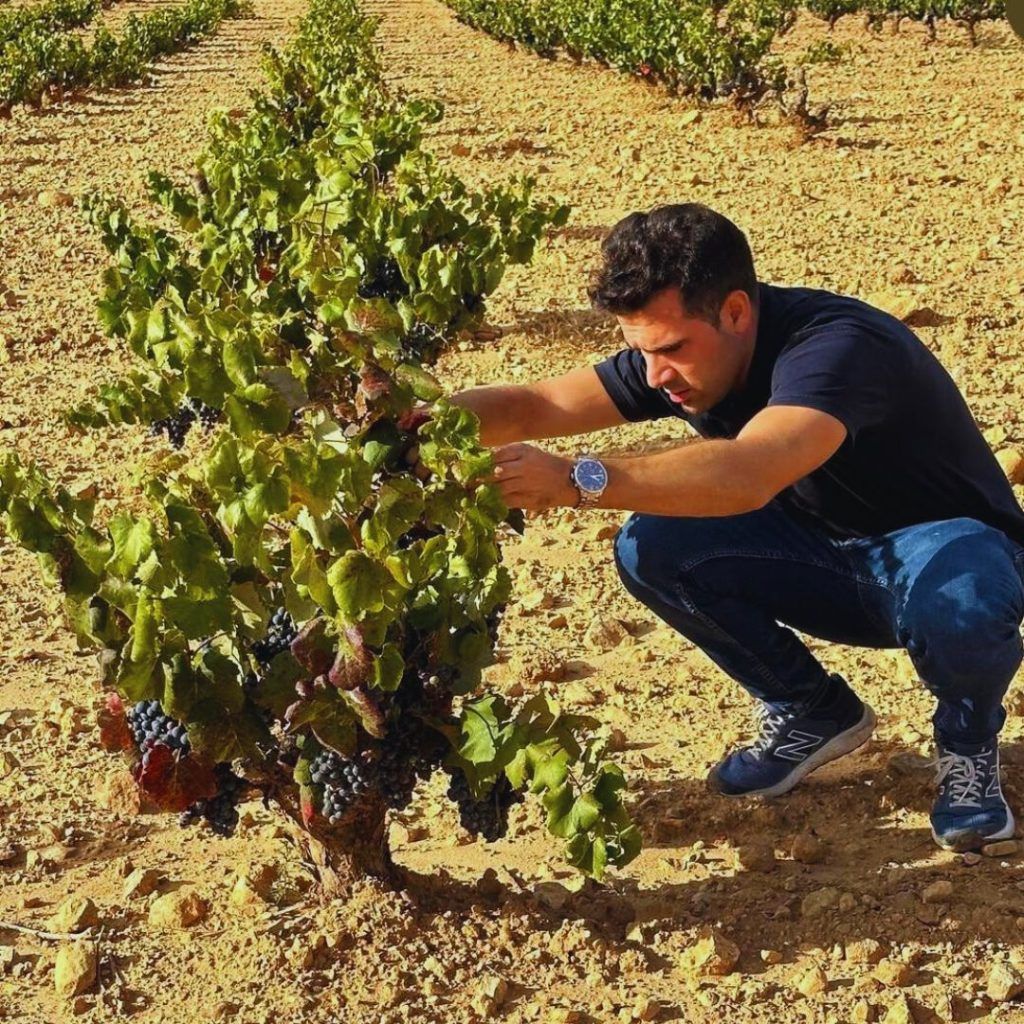 social way up marketing bodegas vino