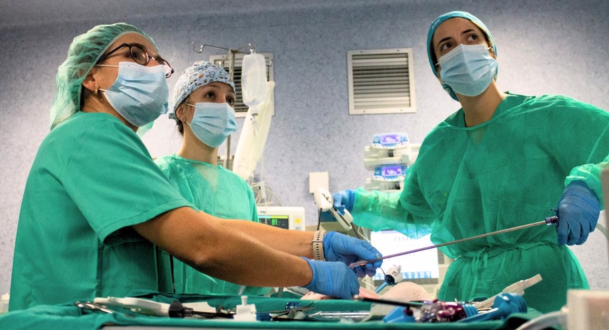 Médicas en el curso de cirugía laparoscópica en Albacete