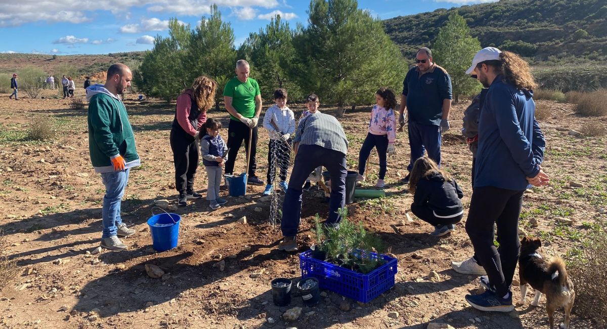 Multitudinaria Plantación Almansa rado pakolo arba almansa