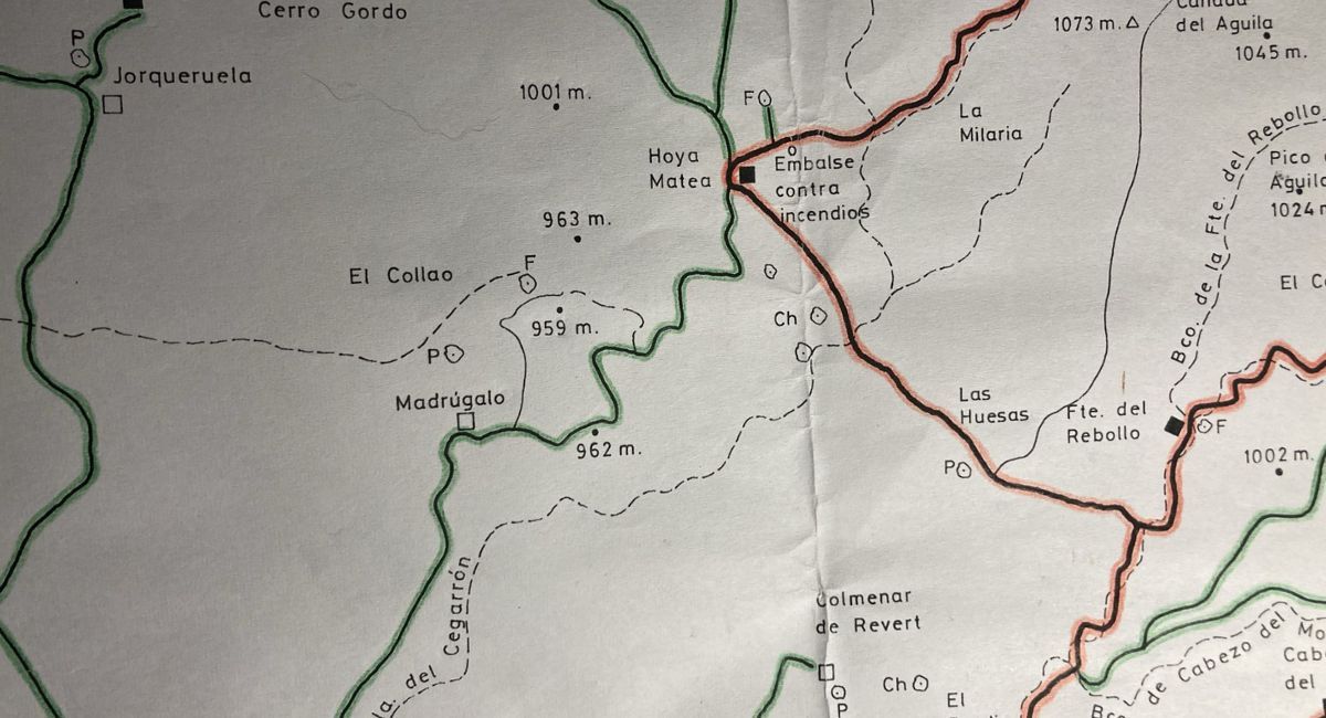 matanza animales almansa UCA