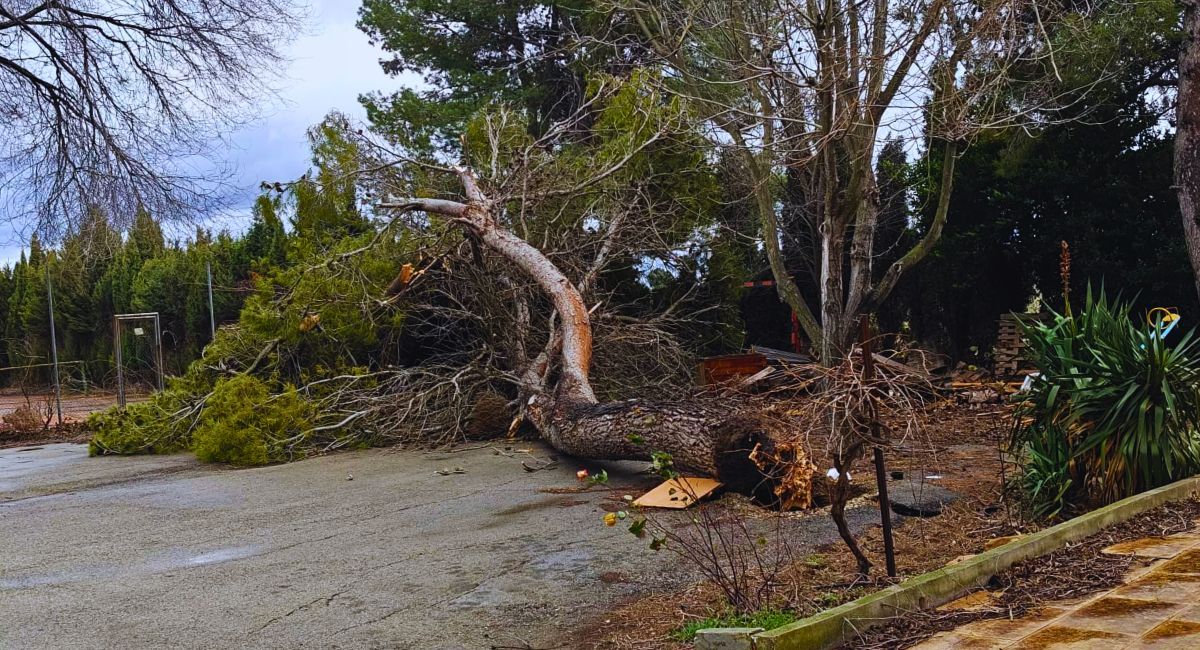 AEMET viento lluvia Almansa