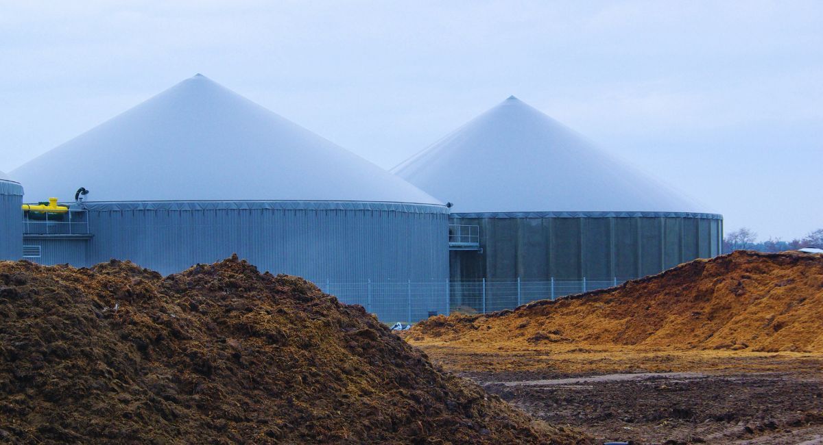 podemos almansa plantas biogás