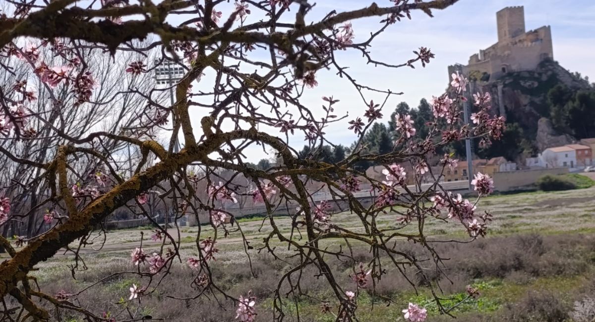 tiempo semana santa Almansa