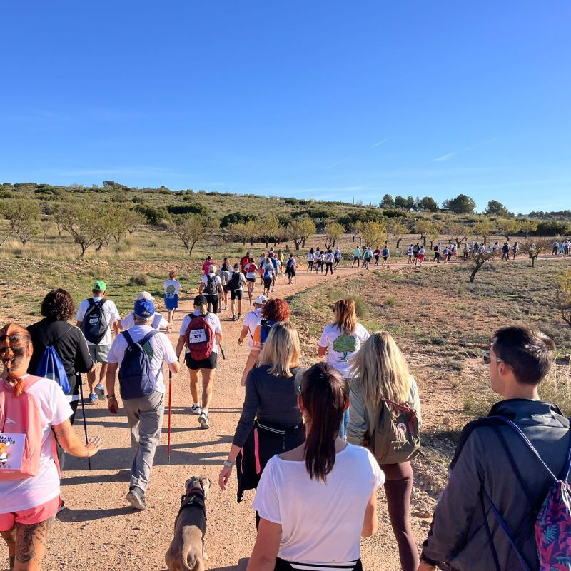 subida a casa alfonso 2024 almansa