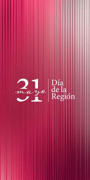Dia Castilla La Mancha
