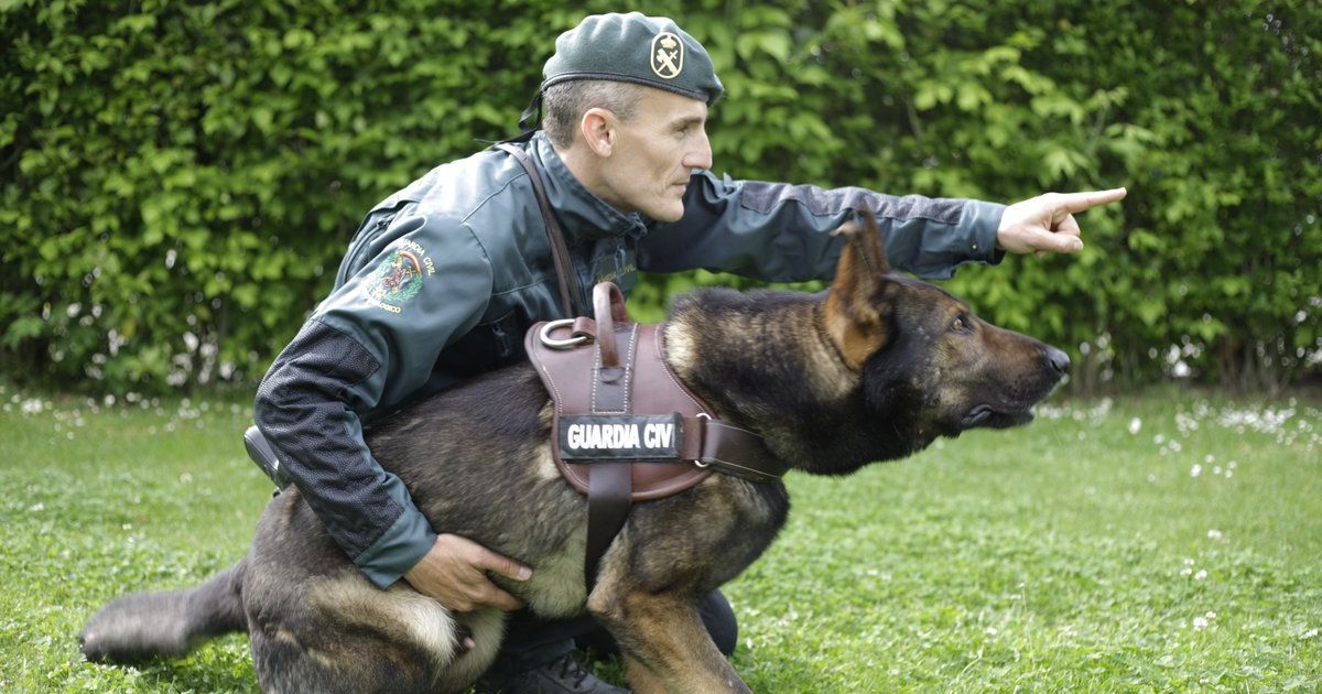 exhibicion de la guardia civil en almansa 1200 x 630px