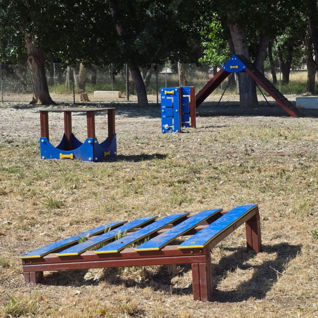 parque canino