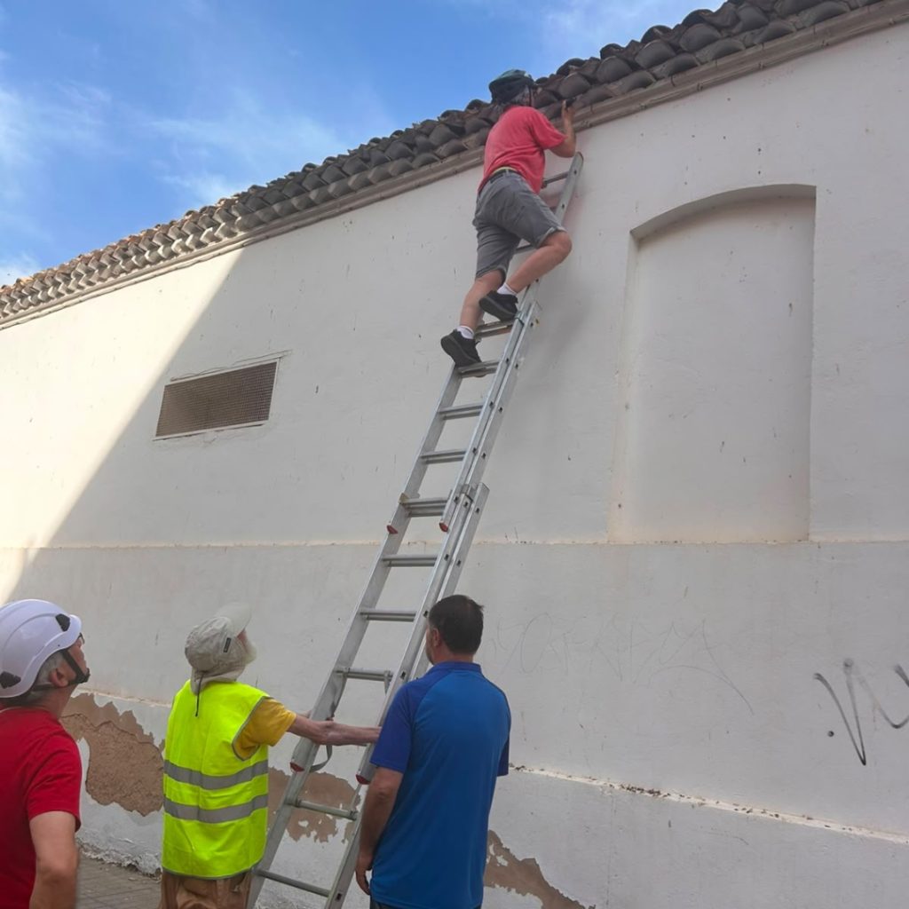 vencejos almansa voluntarios