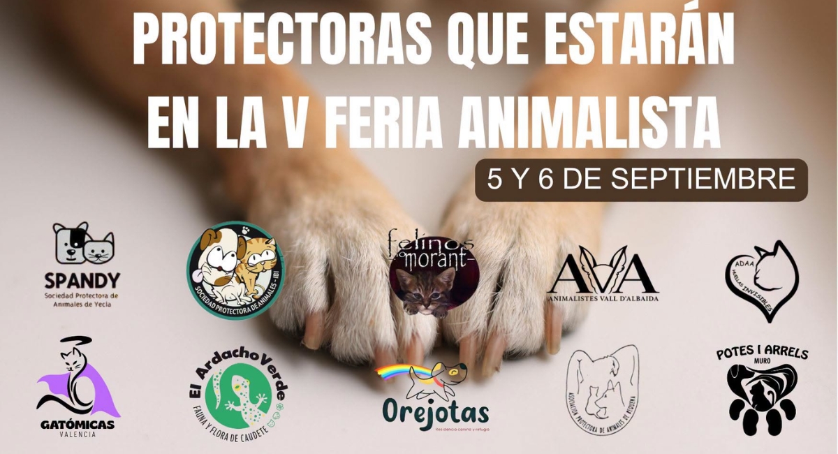 protectoras feria animalista