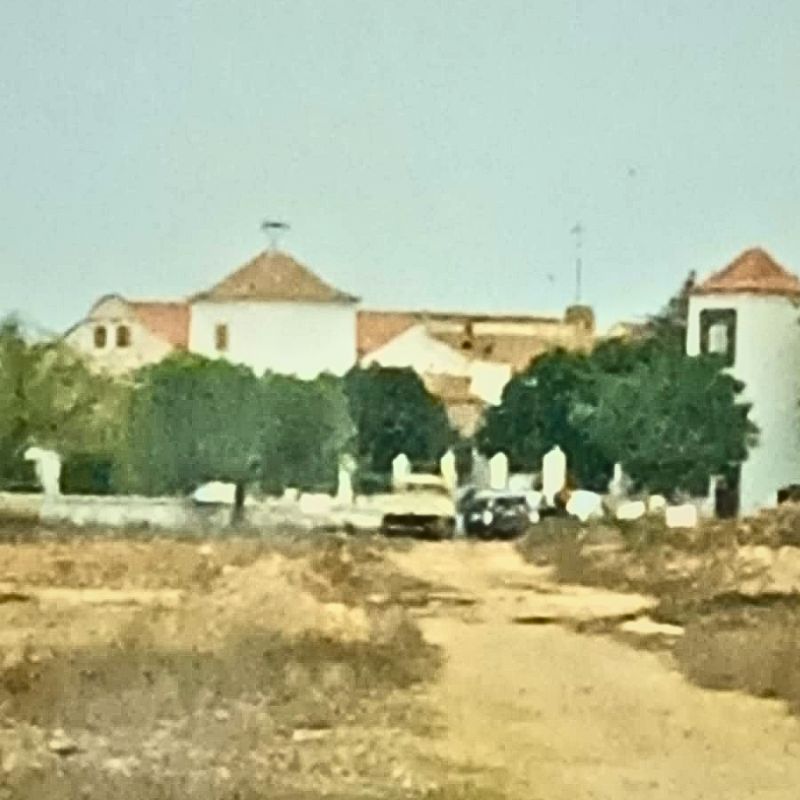 camino público pandos Almansa intervención ayuntamiento contra fondo inversión