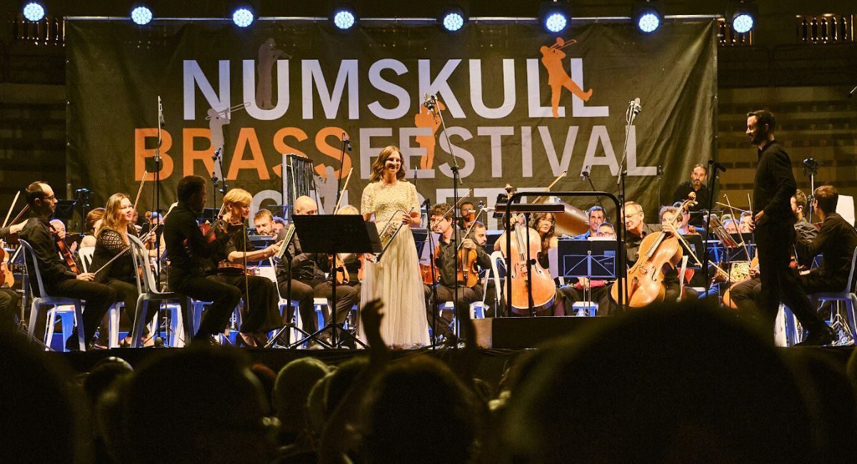 numskull festival música caudete