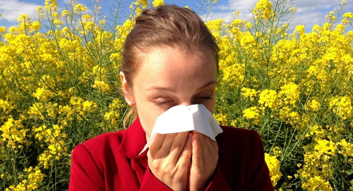 alergia polen primavera 2022 castilla la mancha