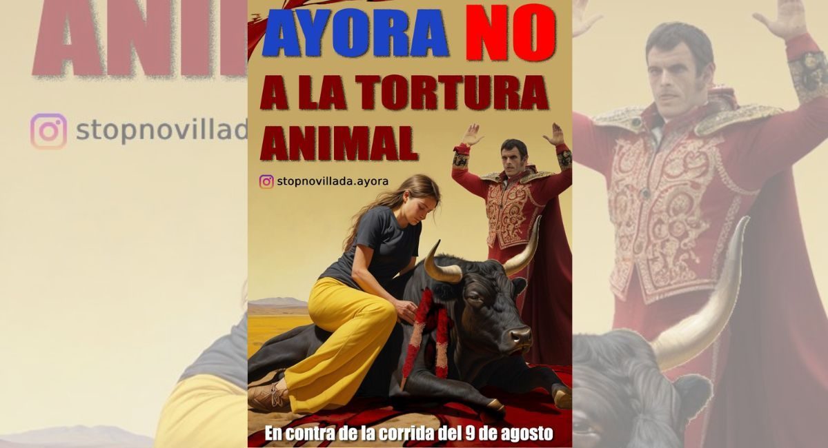 toros Ayora novillada