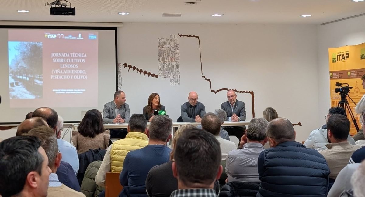 ITAP jornadas Almansa