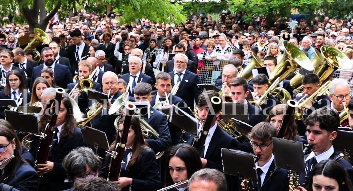 entrada de bandas pasodoble almansa