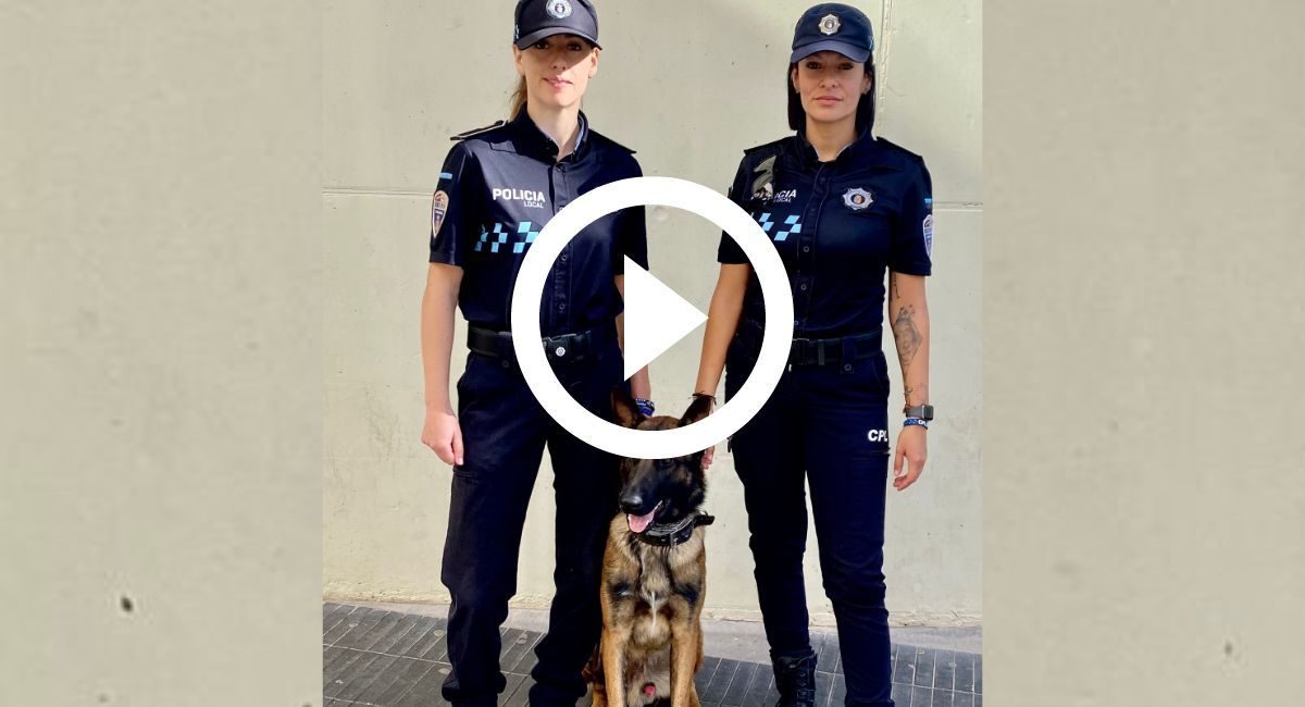 policia local almansa perro