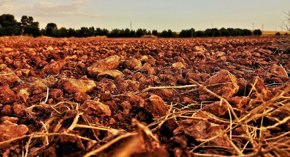 agricultura DANA castilla mancha