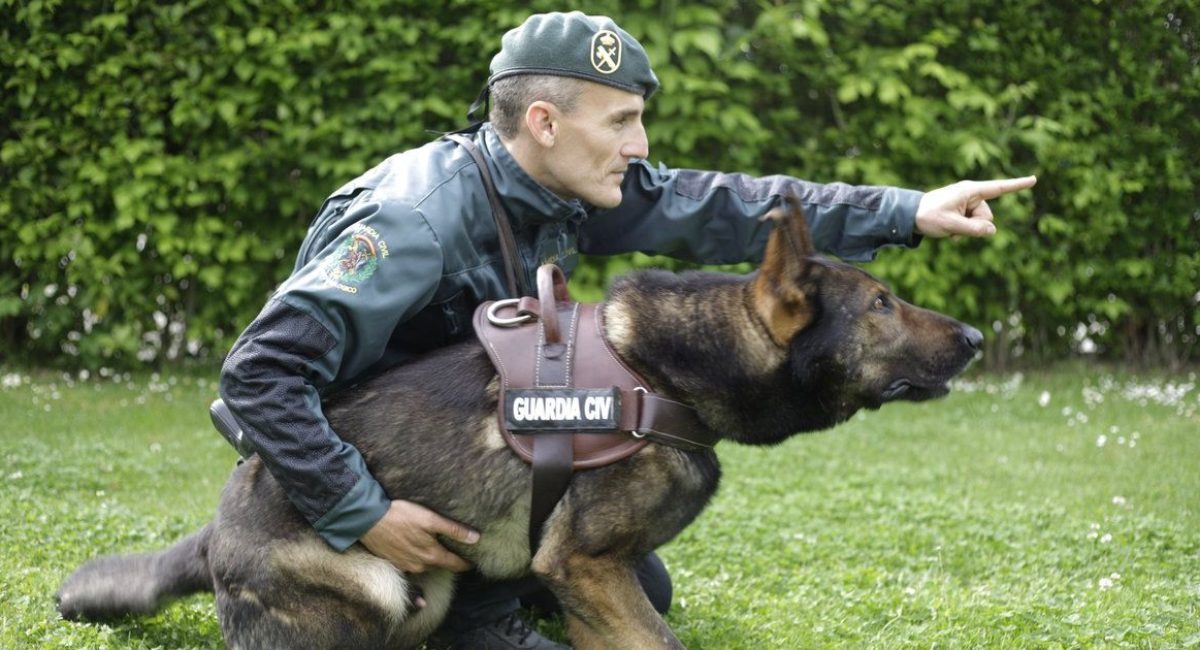 exhibicion de la guardia civil en almansa 1200 x 630px