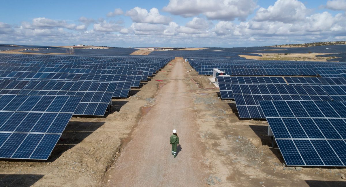 El 'boom' fotovoltaico se acerca a Almansa: Iberdrola invierte 236 millones en megaplantas solares en Ayora y Villena